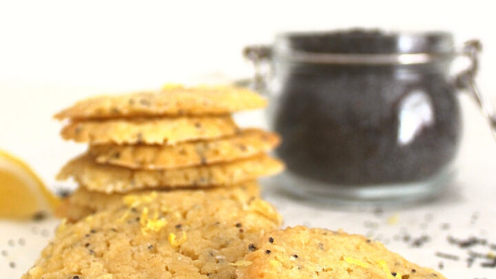 Lemon and Poppyseed ThinsH