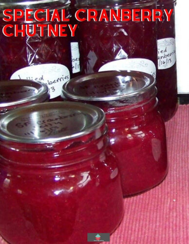 Special Cranberry Chutney, a wonderful recipe loaded with cranberries, apple, orange, golden raisins and pecans. Quick to make and great for freezing too! Serve as part of a dinner or with cold cuts.