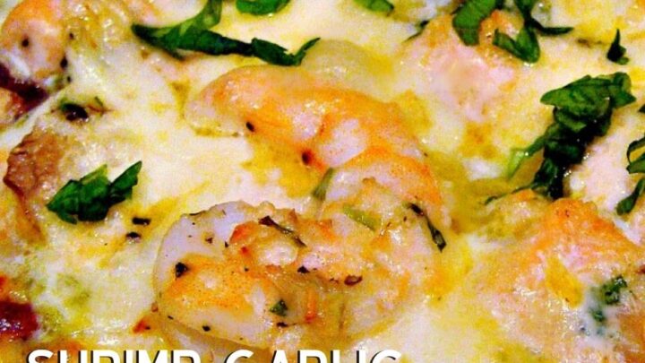 Shrimp Garlic and Pesto PizzaH