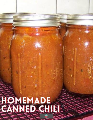 Homemade Canned Chili. A great way to get stocked up, handy for camping or when you just don't have time to cook! Instructions for canning into jars to preserve all the flavors.